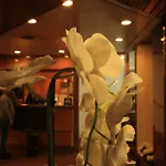 Lido Hotel 3*